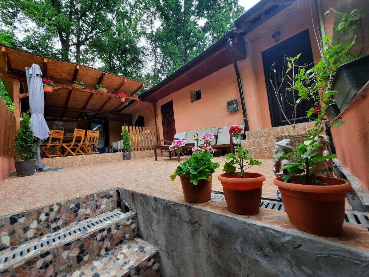 Casa De Vacanta Emd เอเชลนิทซา ภายนอก รูปภาพ