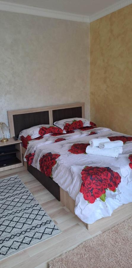 Casa De Vacanta Emd เอเชลนิทซา ภายนอก รูปภาพ