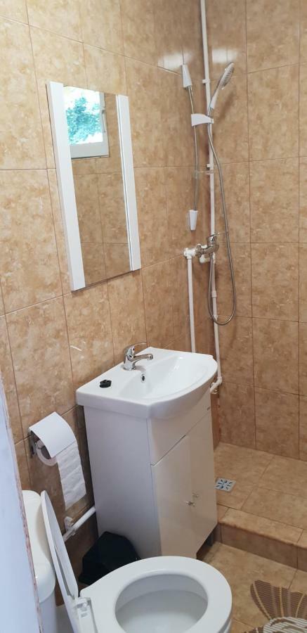 Casa De Vacanta Emd เอเชลนิทซา ภายนอก รูปภาพ