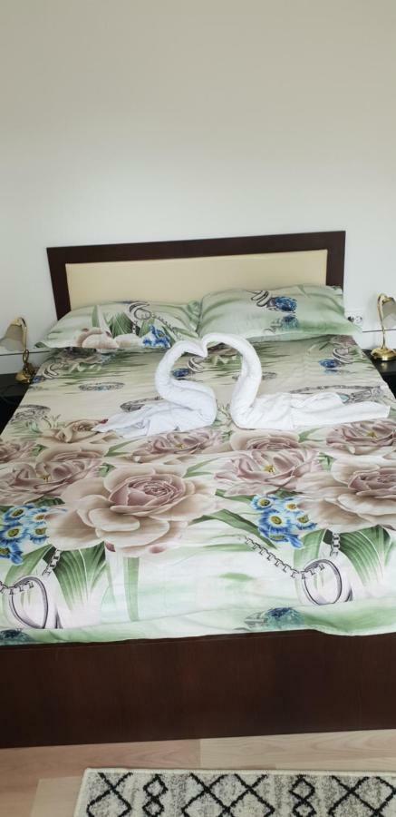 Casa De Vacanta Emd เอเชลนิทซา ภายนอก รูปภาพ