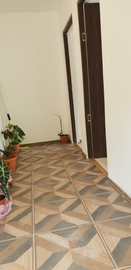 Casa De Vacanta Emd เอเชลนิทซา ภายนอก รูปภาพ
